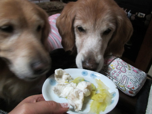 ファイル 2831-4.jpg