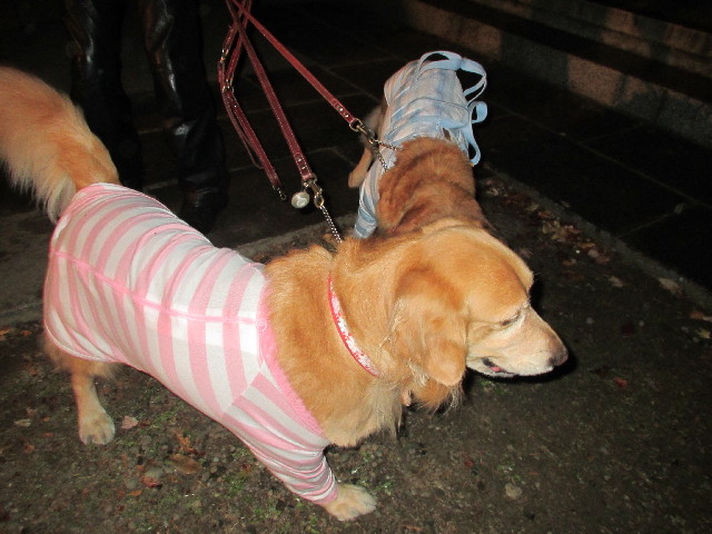 ファイル 2834-1.jpg