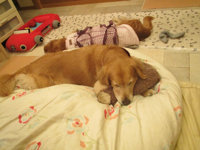 ファイル 2834-5.jpg