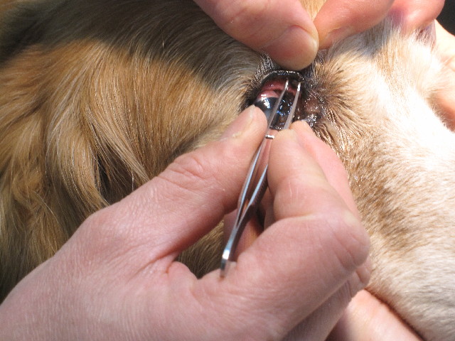 ファイル 2836-3.jpg