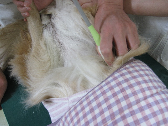 ファイル 2836-4.jpg