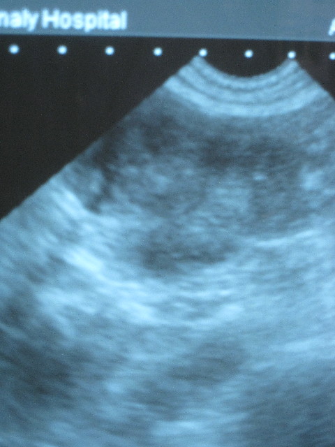 ファイル 2836-5.jpg