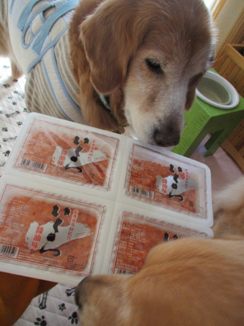 ファイル 2837-4.jpg