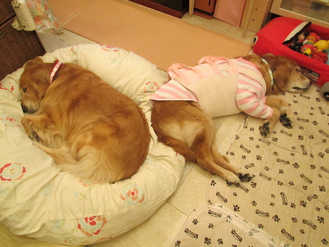 ファイル 2838-5.jpg