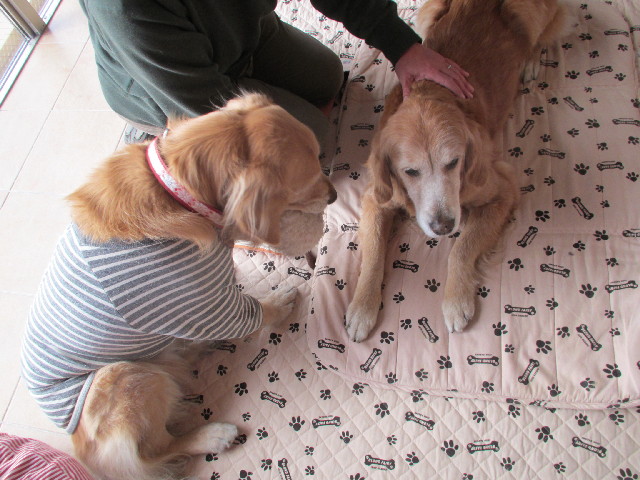 ファイル 2839-2.jpg