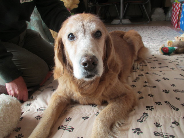 ファイル 2839-3.jpg