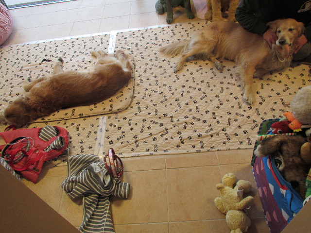 ファイル 2839-5.jpg