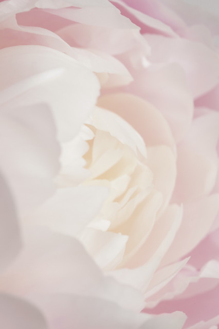 ファイル 2840-3.jpg