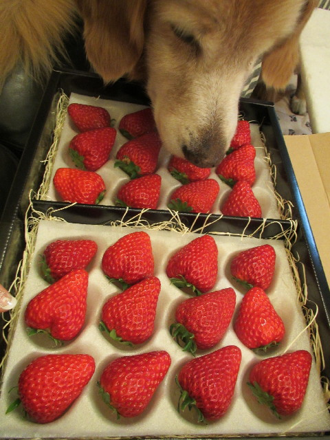 ファイル 2840-4.jpg