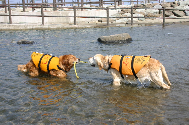 ファイル 2843-1.jpg