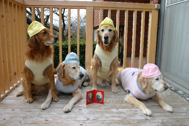 ファイル 2844-1.jpg