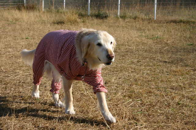 ファイル 2844-4.jpg