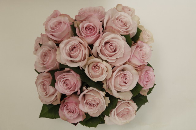 ファイル 2845-4.jpg