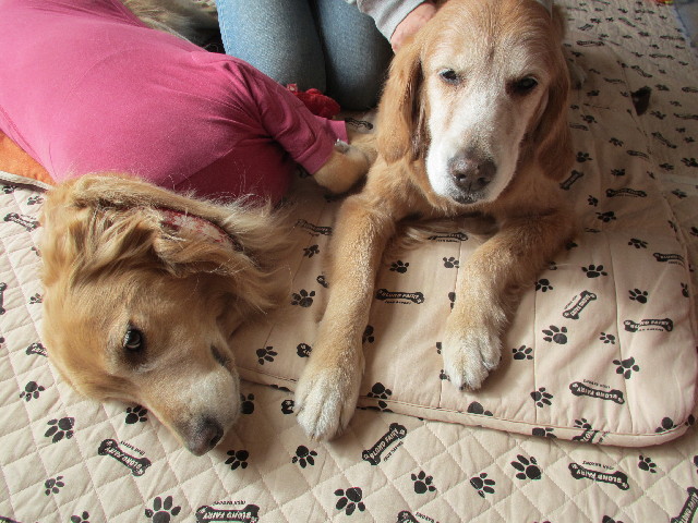 ファイル 2846-3.jpg