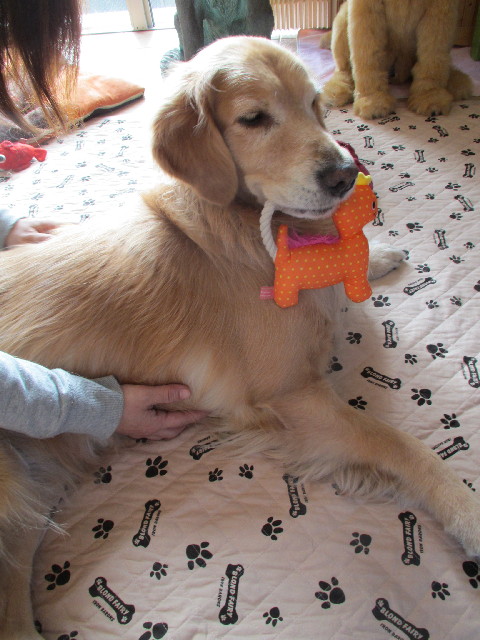 ファイル 2846-5.jpg