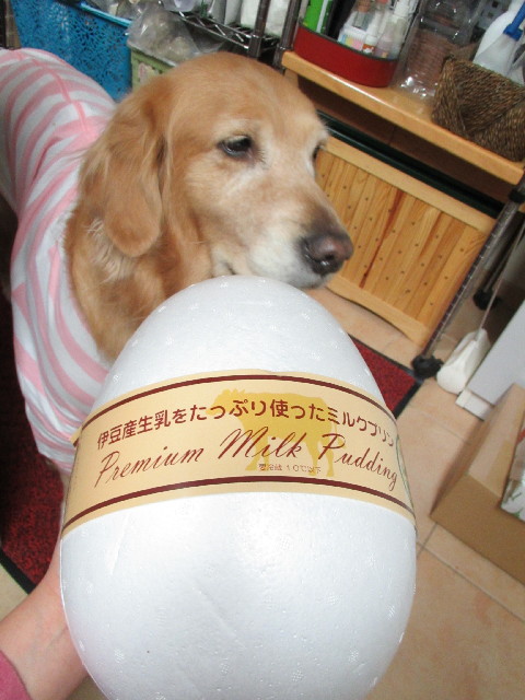 ファイル 2847-4.jpg