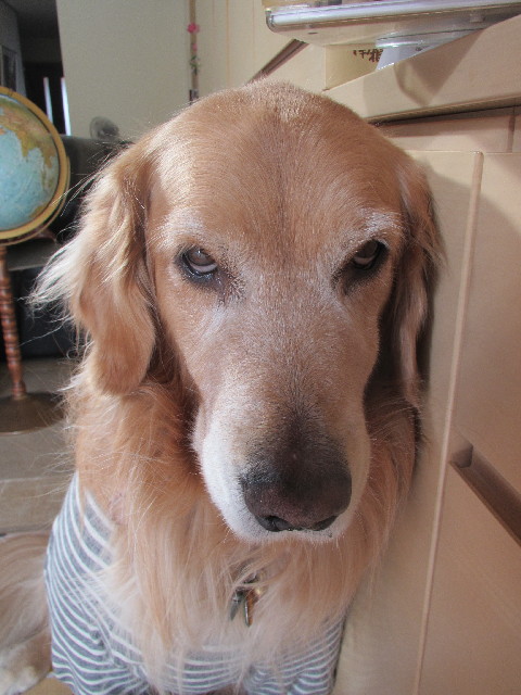 ファイル 2848-2.jpg