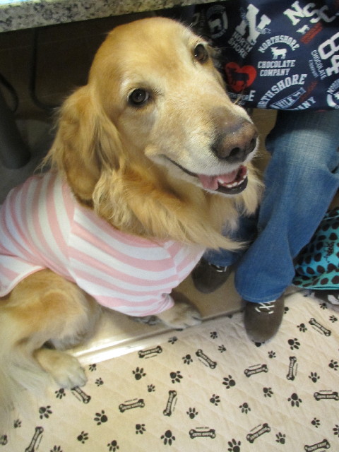 ファイル 2848-4.jpg