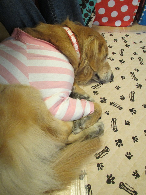 ファイル 2848-5.jpg