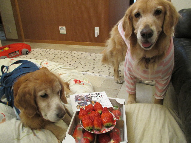 ファイル 2849-2.jpg