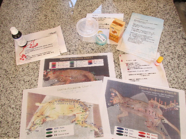 ファイル 2849-4.jpg