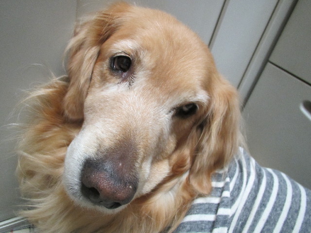 ファイル 2851-4.jpg