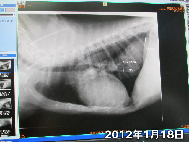 ファイル 2853-3.jpg