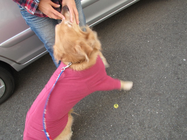 ファイル 2856-2.jpg