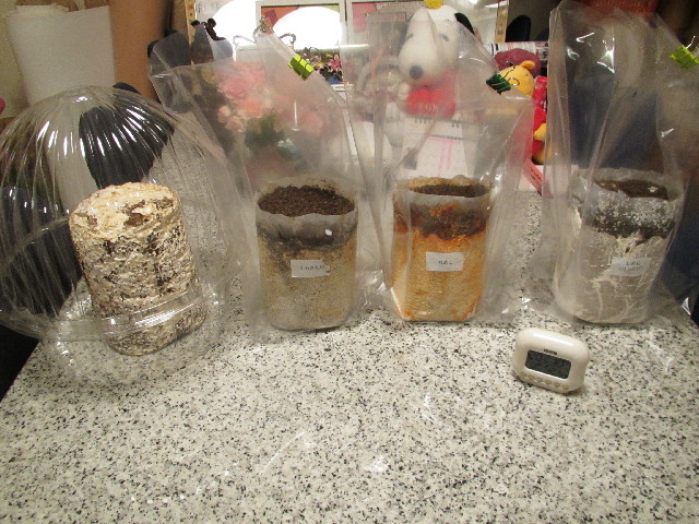 ファイル 2856-4.jpg