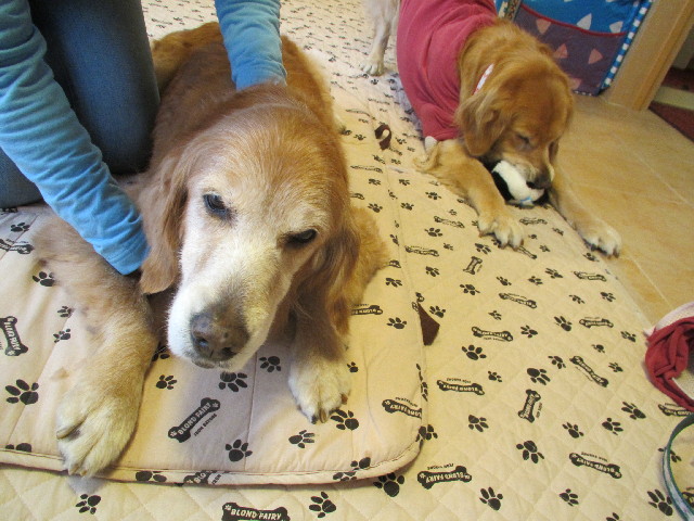 ファイル 2857-4.jpg