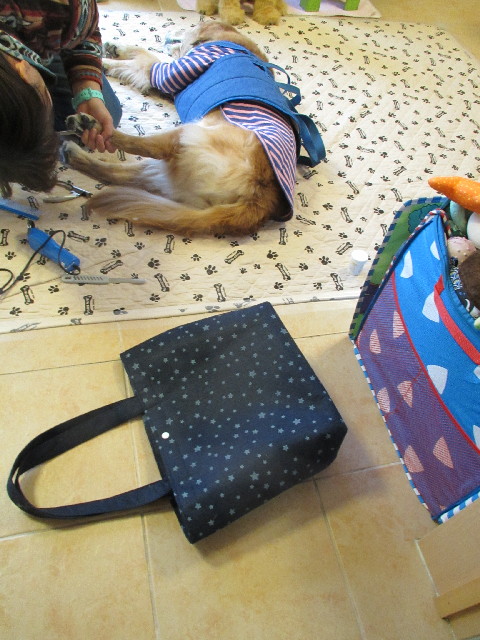 ファイル 2859-1.jpg