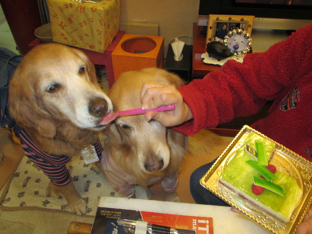 ファイル 2859-3.jpg