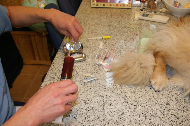 ファイル 286-1.jpg