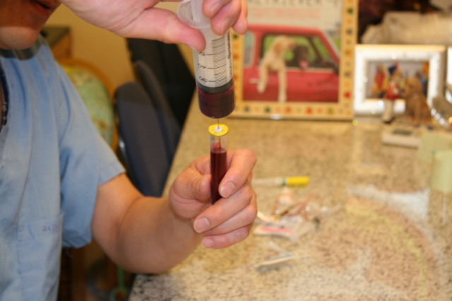 ファイル 286-4.jpg