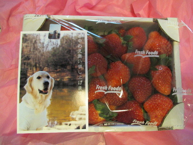 ファイル 2860-1.jpg