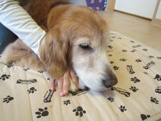 ファイル 2861-2.jpg