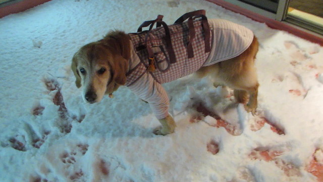 ファイル 2862-3.jpg