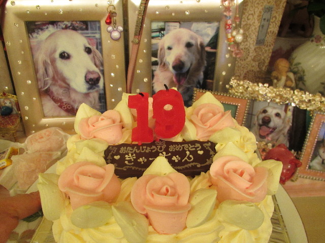 ファイル 2864-2.jpg