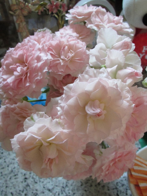 ファイル 2864-4.jpg