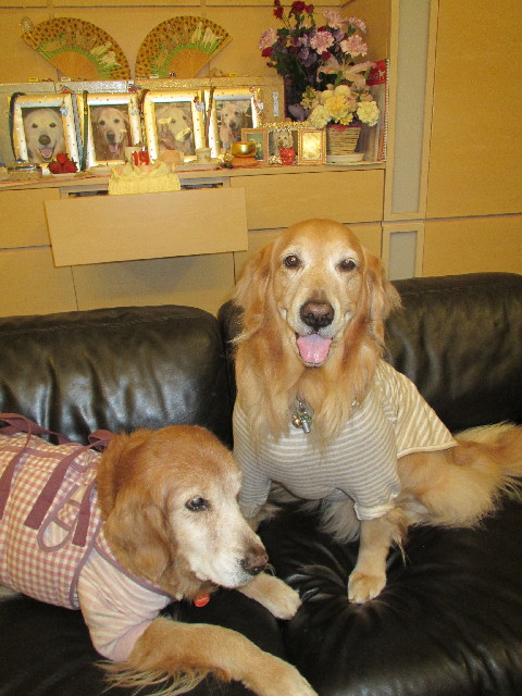 ファイル 2864-5.jpg