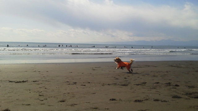 ファイル 2869-1.jpg