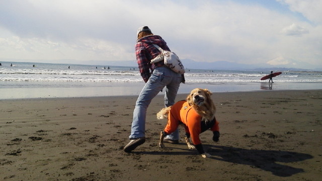 ファイル 2869-2.jpg