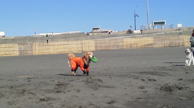 ファイル 2869-5.jpg