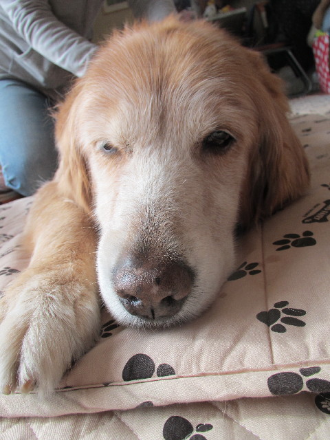 ファイル 2870-2.jpg