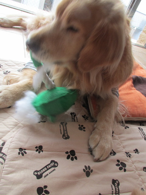 ファイル 2870-3.jpg