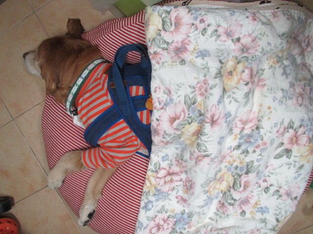 ファイル 2870-4.jpg