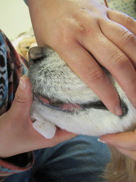 ファイル 2872-1.jpg