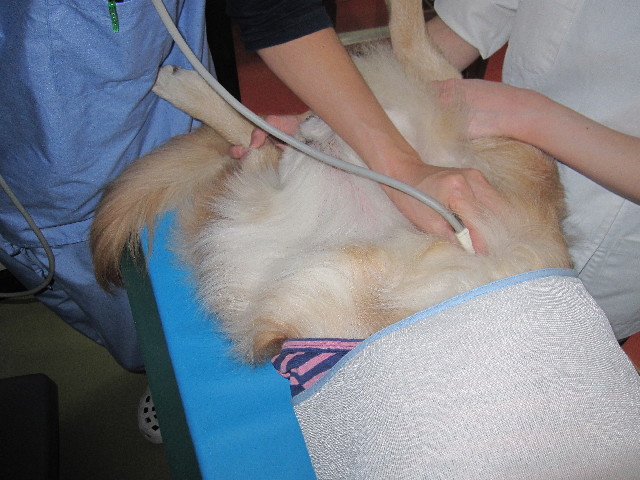 ファイル 2875-2.jpg