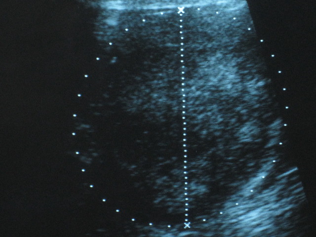 ファイル 2875-4.jpg