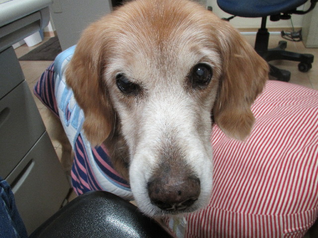 ファイル 2875-5.jpg